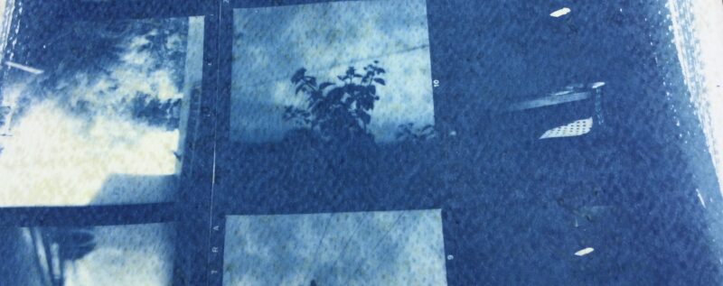 Cyanotype Experiment #1