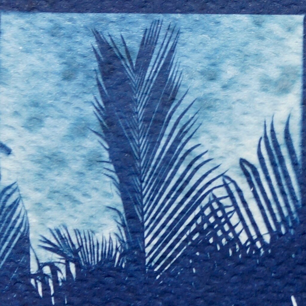 Leaves against the open sky #cyanotype